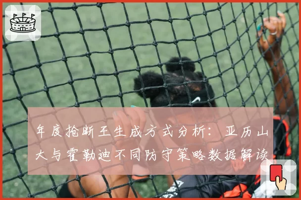 年度抢断王生成方式分析:亚历山大与霍勒迪不同防守策略数据解读
