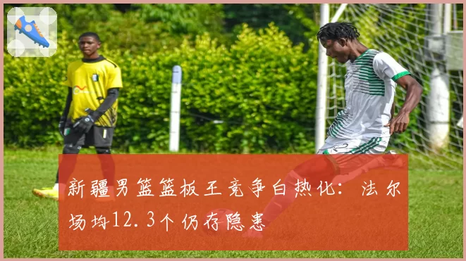 新疆男篮篮板王竞争白热化：法尔场均12.3个仍存隐患
