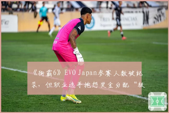 《街霸6》EVO Japan参赛人数破纪录,但职业选手抱怨奖金分配“极度不公”