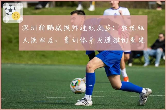 深圳新鹏城换帅连锁反应:教练组大换血后,青训体系或遭推倒重建